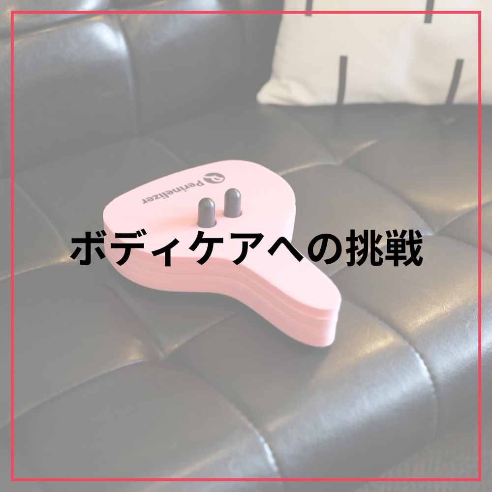 Reauty Perinelizerリューティペリネライザー骨盤底筋トレーニング