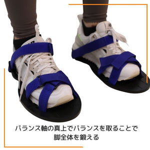 
                  
                    ReaLine・BalanceShoes　＜For knee joint＞
                  
                